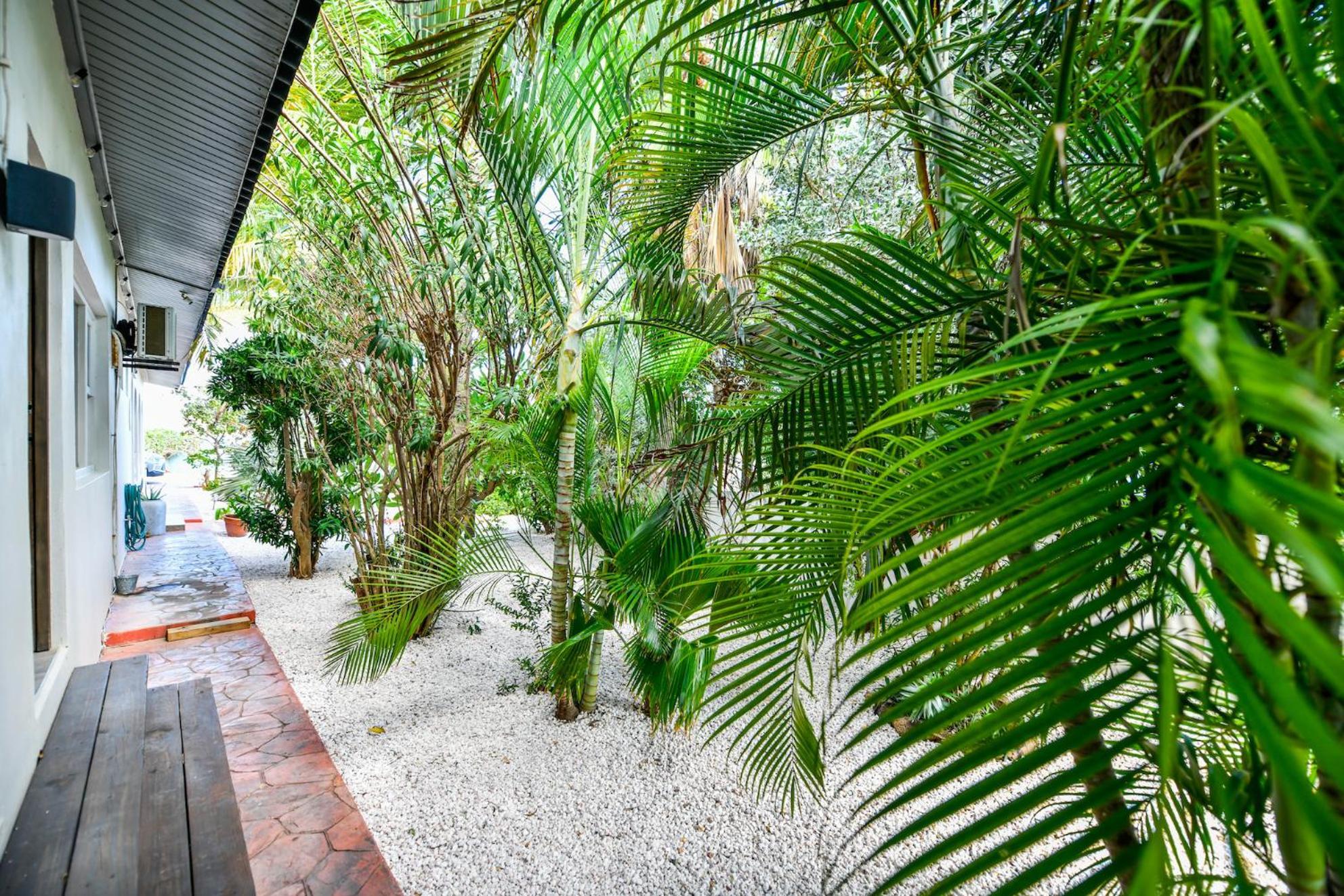 Aloe B&B Oranjestad Extérieur photo