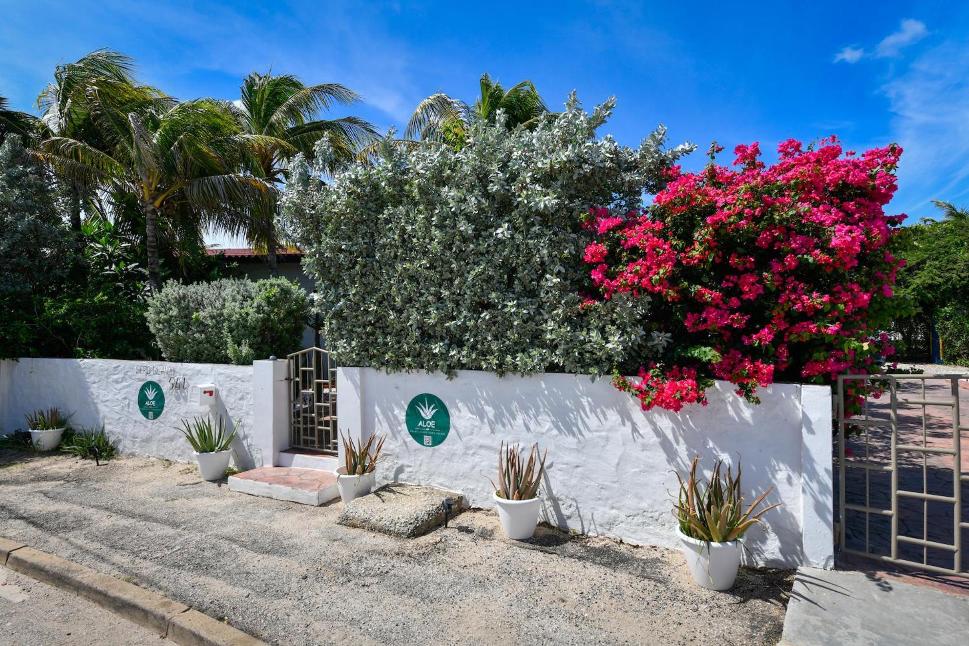 Aloe B&B Oranjestad Extérieur photo